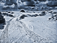 1. Ghostly Sandunes by Lucy Mandyczewsky