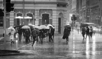 3. A Rainy Day in Perth by Toni Segers