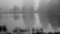 6. Early Fog by Alex Graham