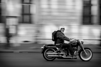 17. Harley in Paris by Lidia D