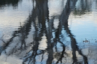 6. Abstract Reflections by Toni Segers