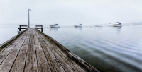 21. Morning Mist - Rookwood Jetty by Rob Lewis